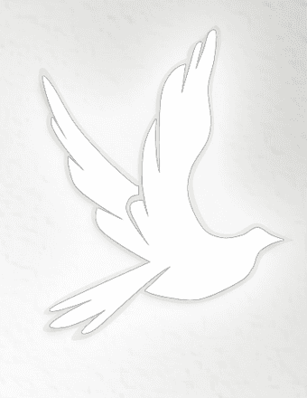 David  E. Peck Obituary